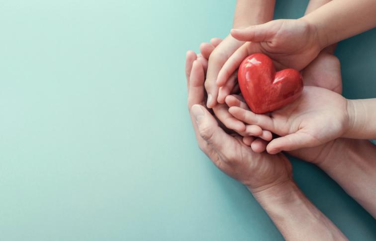 Adult's and child's hands holding a red heart