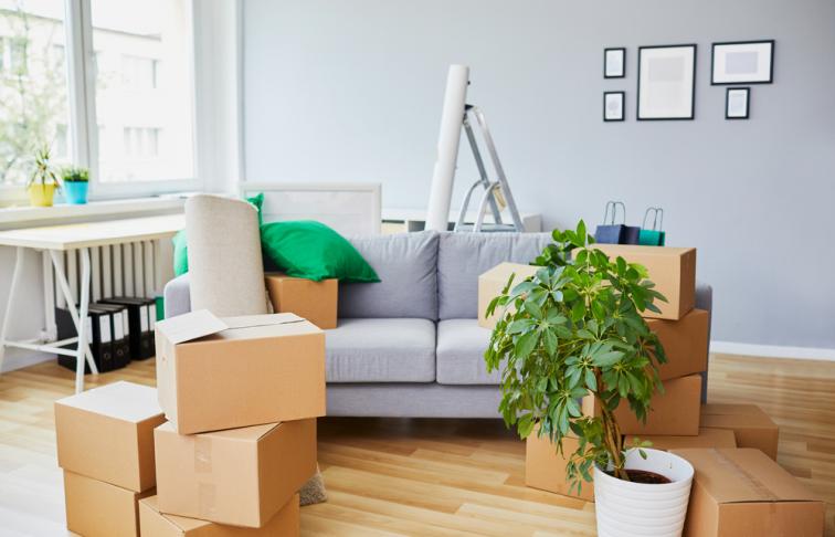 Boxes in a living room