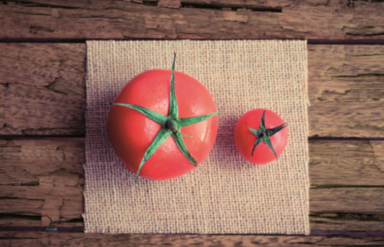 tomatoes