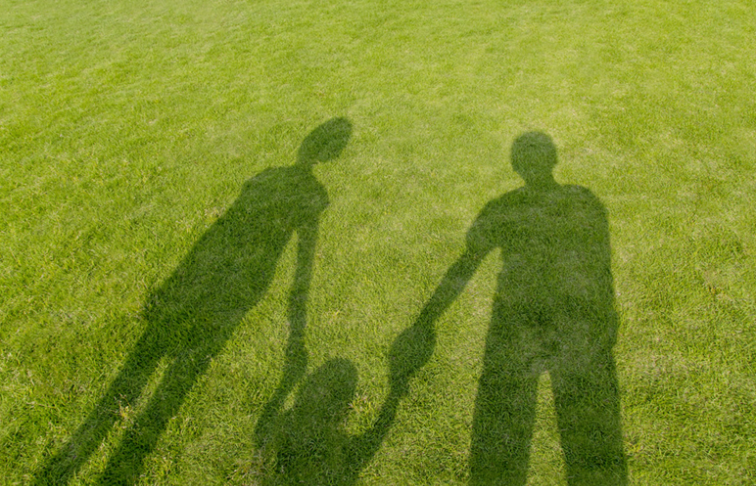 Shadow of family on grass