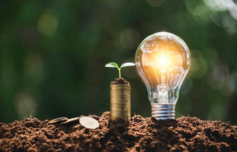 Lightbulb next to coins