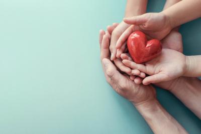 Adult's and child's hands holding a red heart