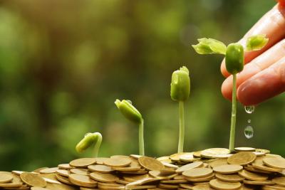 Watering plants growing from coins