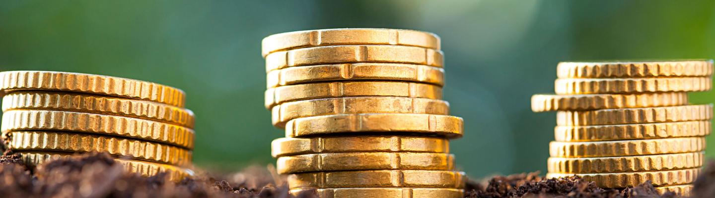 Coins and nature, symbolising ethical savings