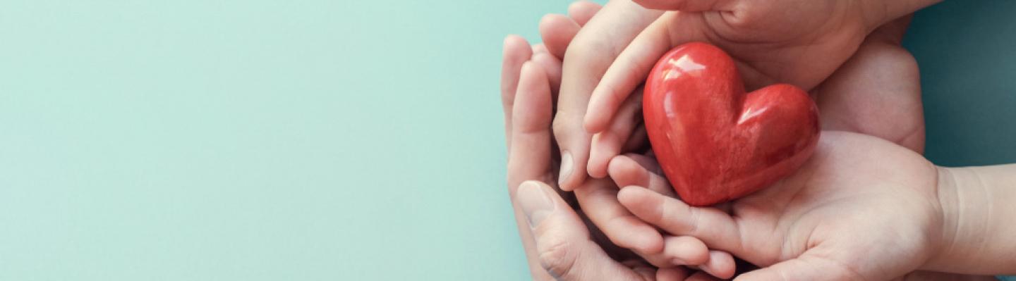 Adult's and child's hands holding a red heart