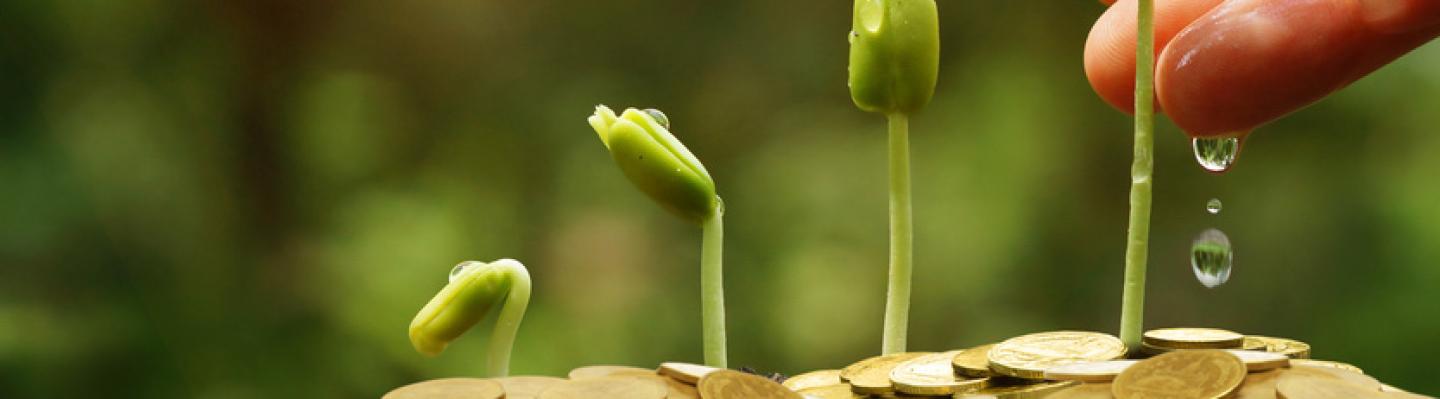 Watering plants growing from coins