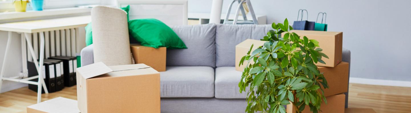 Boxes in a living room