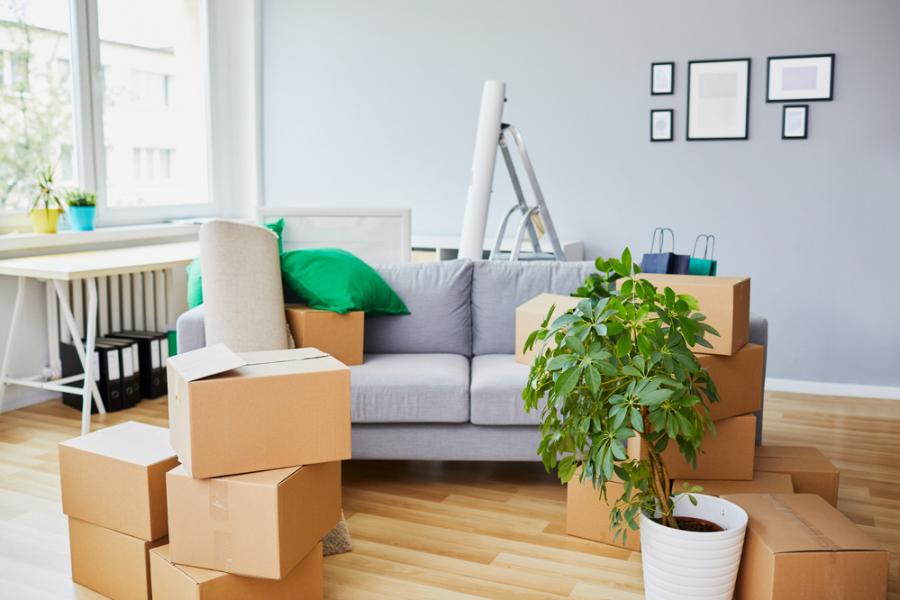 Boxes in a living room