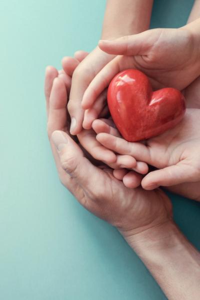 Adult's and child's hands holding a red heart