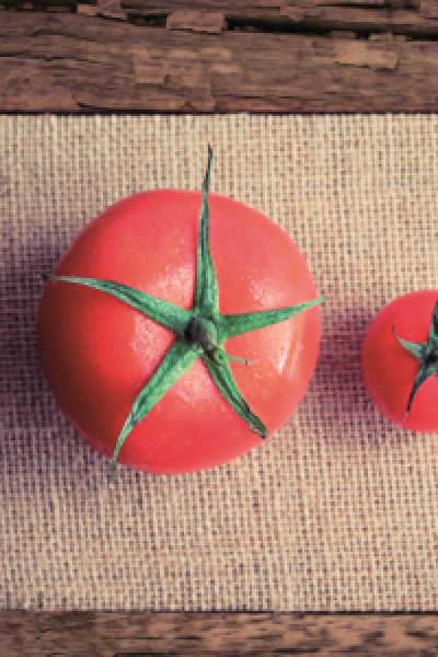 tomatoes