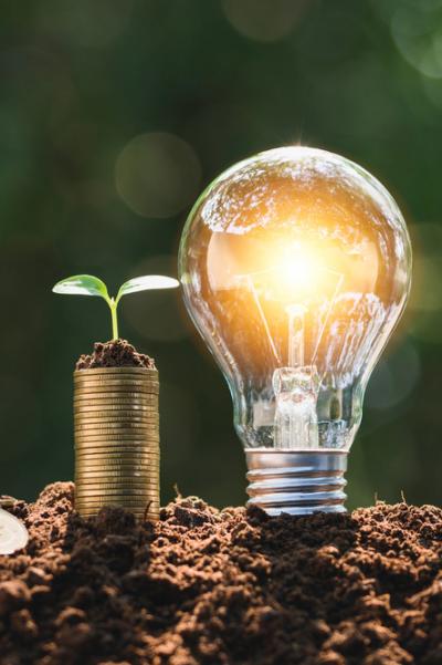 Lightbulb next to coins