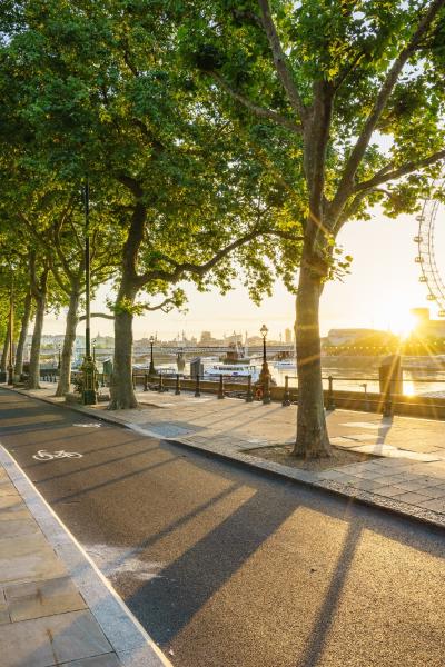Cycle lane in London